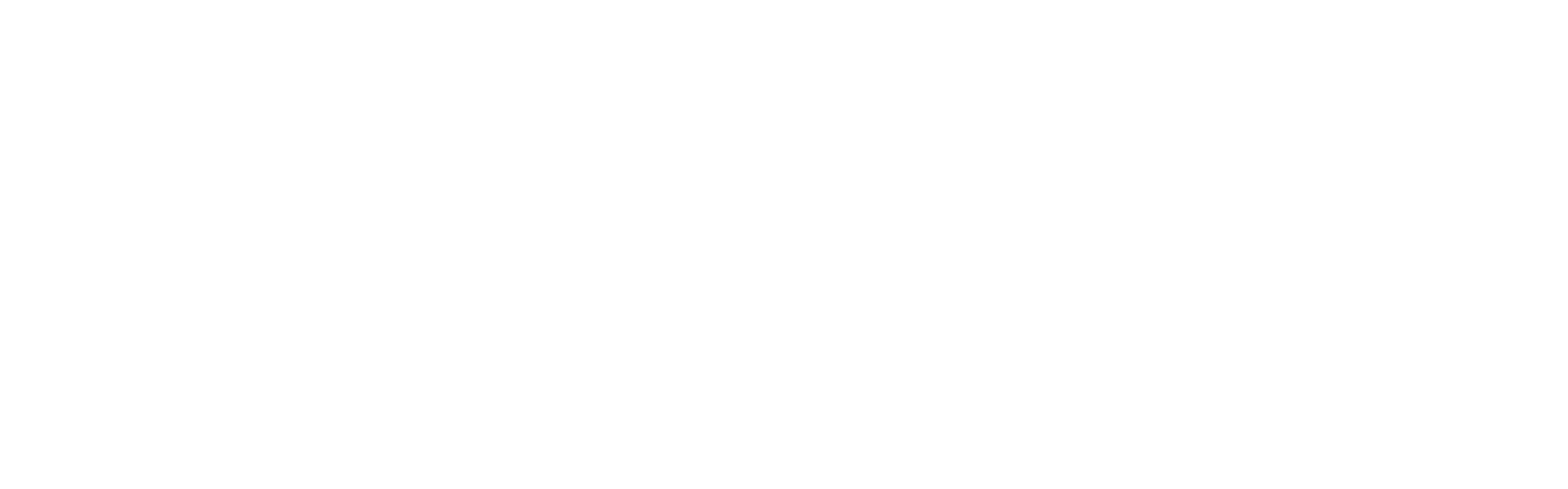 JP Morgan Chase and Co logo