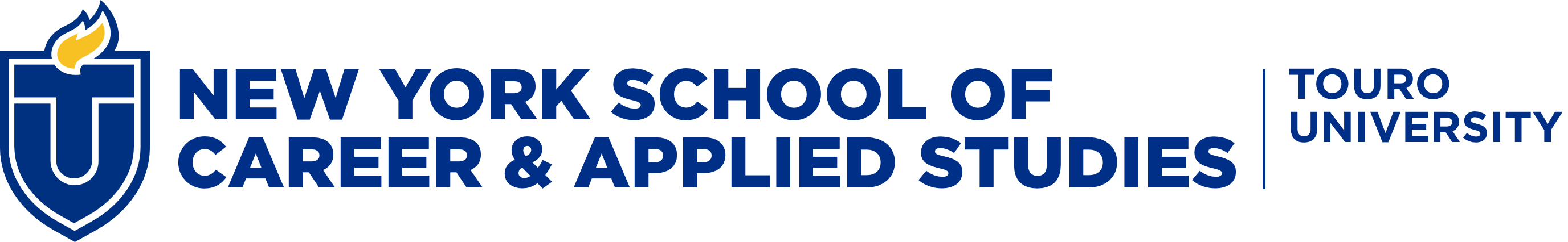 New York College of Career and Applied Studies Touro University
